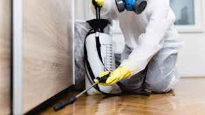 Best Fumigation Services  in Benson, UT